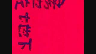 Birdstriking - "Magpie"