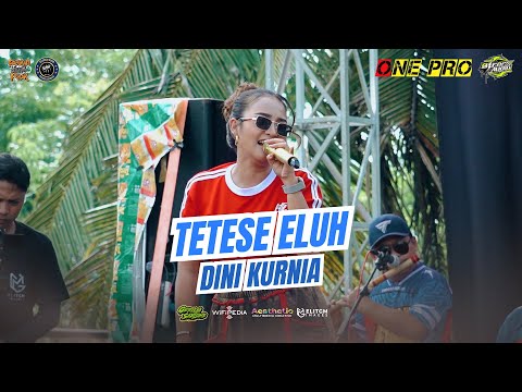 DINI KURNIA - TETESE ELUH  || ONE PRO X BLEDEX AUDIO (LIVE WONG PENAK TEMUREJO)
