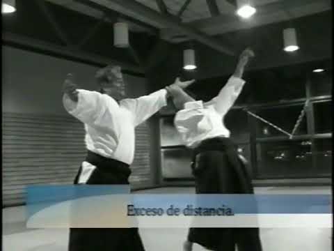 Aikido Yamada Sensei seminar in Argentina - EPIC Video