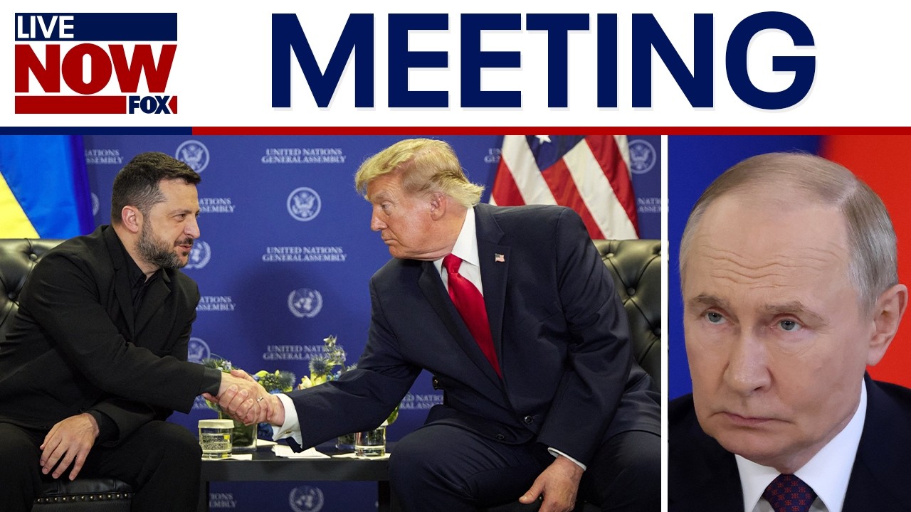 Russia-Ukraine war: Zelenskyy wants meeting with Putin, Trump