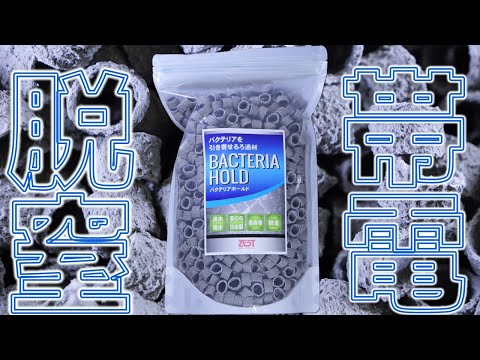 バクテリア: 新しい形の推進力を発見