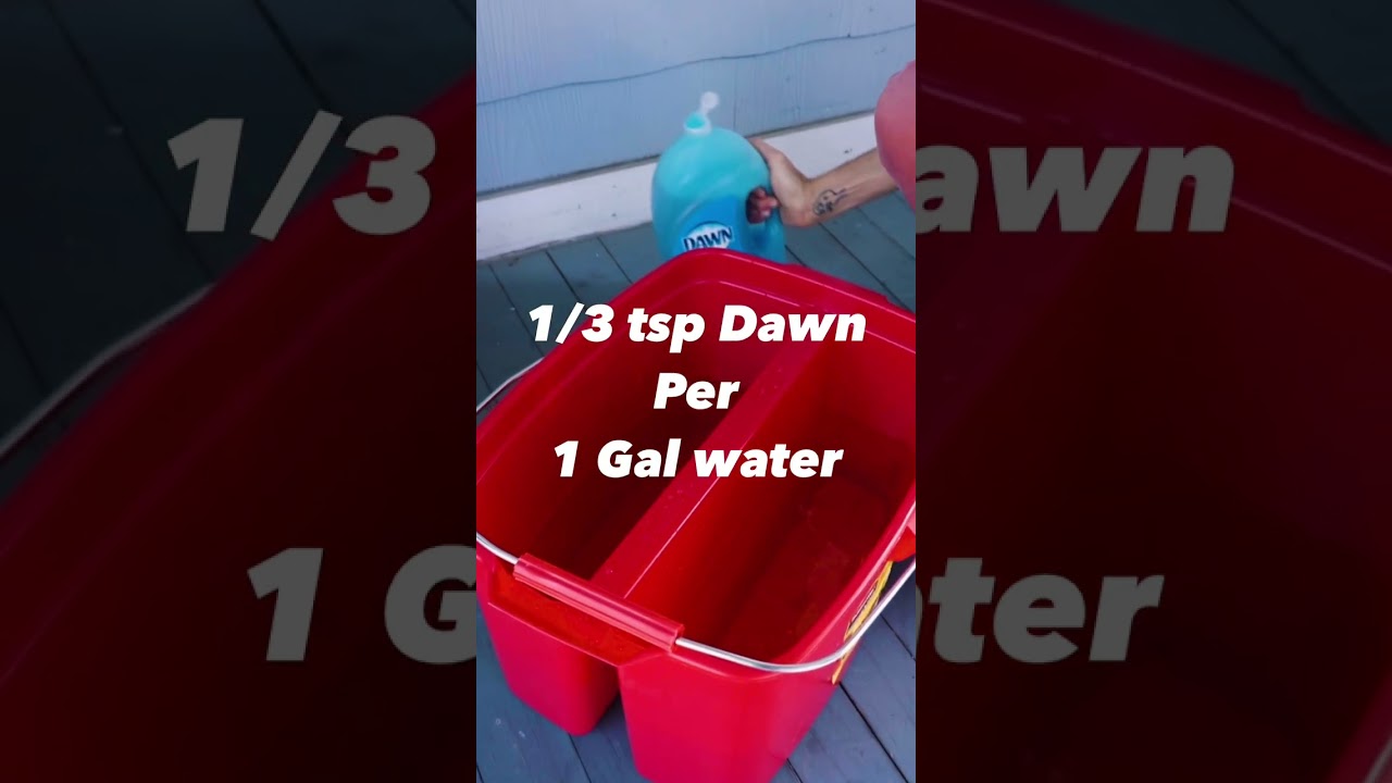 The Best Window Cleaning Solution