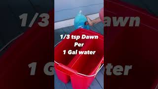 The Best Window Cleaning Solution