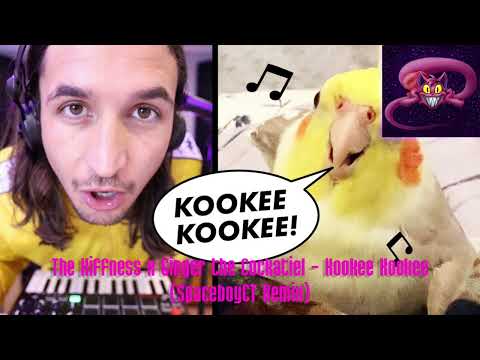 The Kiffness x Ginger the Cockatiel - Kookee Kookee (SpaceboyCT Remix)