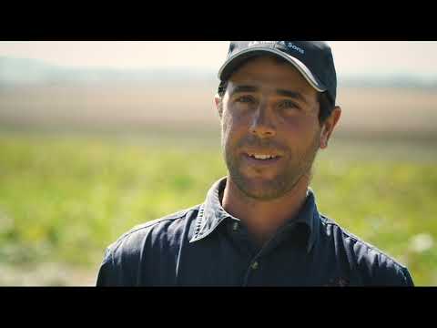 Exporting kabocha (Japanese squash)