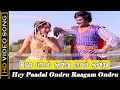 Hey Padal Ondru Song Priya 1978 Movie Rajinikanth Sridevi Love Hits Janaki Ilaiyaraja HD
