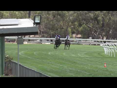 Strathalbyn 15/01/21 – Jump Out 16