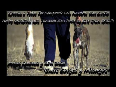 Entre Galgos y Milongas