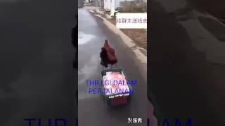 Download lagu THR lucu dalam perjalanan mp3