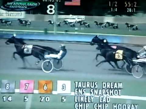 2002 Hambletonian - Chip Chip Hooray
