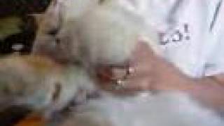 Senor Peligro - Ministry