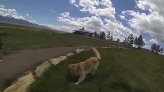 preview picture of video 'Westcliffe, Colorado is true gem - Run bike and be merry!'