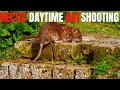 Day time rat hunting - with air rifles ( vulcan 2 - pard 008 lrf )