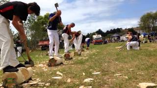 preview picture of video 'Paparoa Woodchopping 2015'