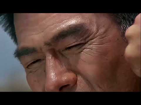 Jet Li Kung-Fu'Chen Zen' Vs Yasuaki Kurata'Fumio Funakoshi' in Movie Fist Of Legend Past 2 ¦ Fight!
