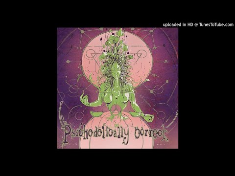 Fungus Funk & Chronomatic - Anything Can Happen