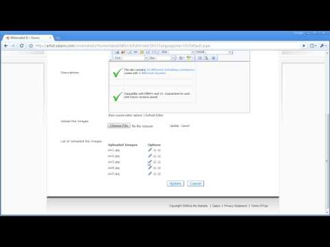 Minimalist II DotNetNuke SkinPack and Flash Module by SalarO
