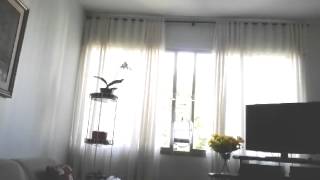 CRIADOURO BARCELONA - temporada 13/14