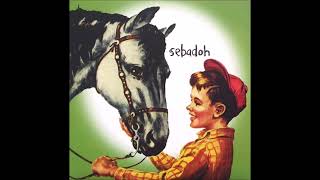 Sebadoh - "Sixteen (BBC Session)"
