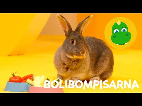 Bolibompa Mini: Bolibompisarna – Avsnitt 9