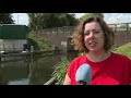 Vissen Kralingse Plas massaal dood: 'nu is het echt over'