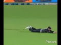 Flying Catch Glenn Phillips