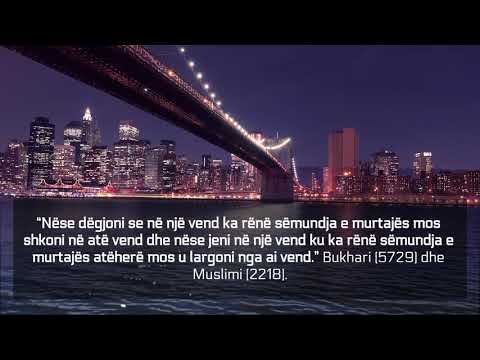 Karantina në Islam - Feuzan