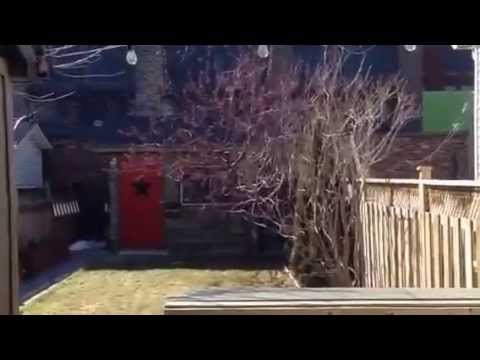 98 Edwin Avenue - The Junction, Toronto Real Estate For Sale