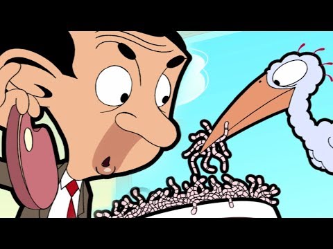 Bird Food | Funny Clips | Cartoon World