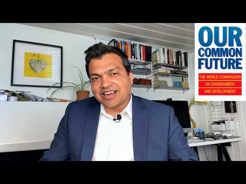 Our Common Future: The Brundtland Report | Vibepedia
