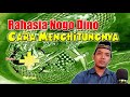 Cara Menghitung Nogo Dino