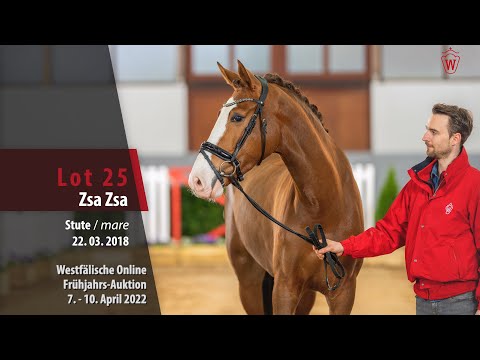 Online Frühjahrs-Auktion Lot 25 Zsa Zsa Stute v. Zoom - Belissimo M