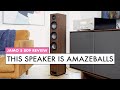 CHEAP Tower Speakers That SOUND GREAT JAMO S 809 Tower Speaker REVIEW