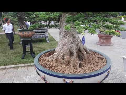 22 tháng 6, 2019(6)