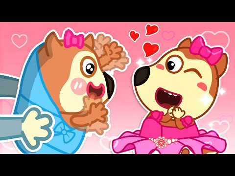 Novo bebê se conheceu 👶 Canção de bebê irritado 😠🌸 Lucy Canções Infantis