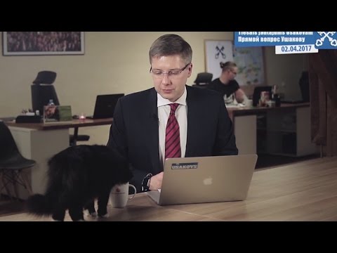 Intervistano sindaco di Riga (Lettonia), gatto si avvicina e beve dalla tazza
