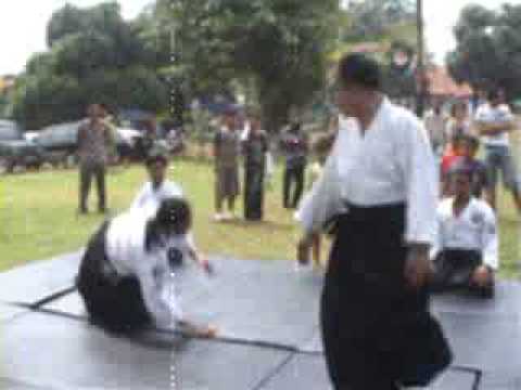 Air Vice Marshall Ken Darmastono and Sphinx Sensei Aikido Embukai  ( PAI - Aioikai Indonesia )