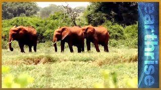 🇰🇪 Bee Fence | Earthrise gameplay video by alucas, 9:17 duration