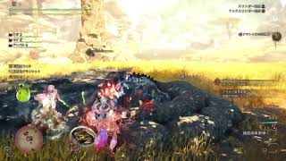 【#モンスターハンターワイルズ】(PS5) {HR100を目指して}