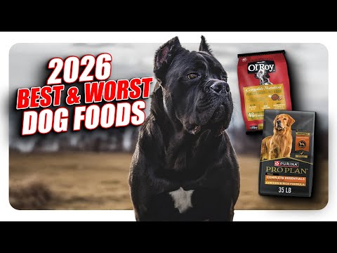 2026 Best & Worst Dog Foods