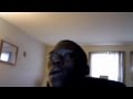 Frank Savage Caillou Freestyle