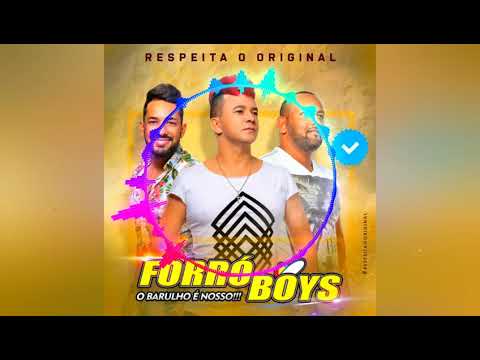 Me diz se você quer - Forró Boys Vol.08