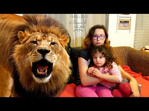 ОБЫЧНАЯ ЕДА ПРОТИВ МАРМЕЛАДА! Живой ЛЕВ у нас дома! Вызов принят!