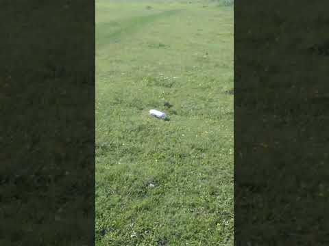 Comuna Belcești  sat nou canp