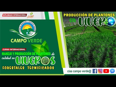 ✅ MANEJO Y PRODUCCIÓN DE PLANTONES DE CALIDAD EN VIVEROS FORESTALES TECNIFICADOS