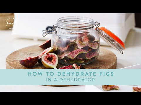 How to Dehydrate Figs in a DEHYDRATOR