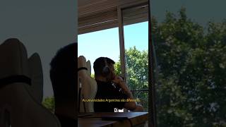 As universidades Argentinas são diferentes.