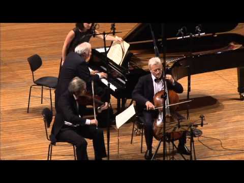 Bedrich Smetana -- Trio G minor op. 15, 1st movement: Moderato assai