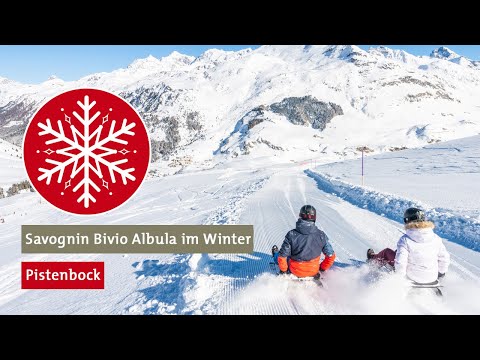 Pistenbock Schlitten Bivio