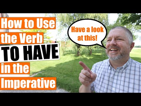 How to Use the Verb TO HAVE in the Imperative
